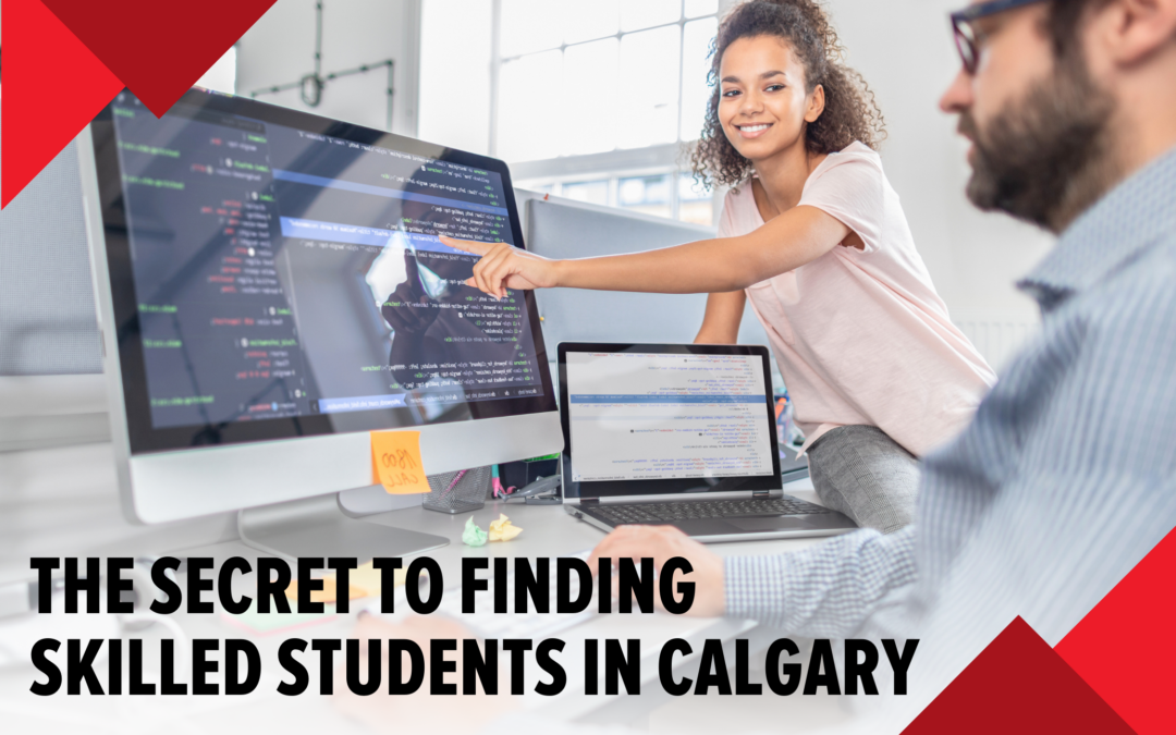 Talent Found! New database Unlocks the Secret to Finding Skilled Student Workers in Calgary 